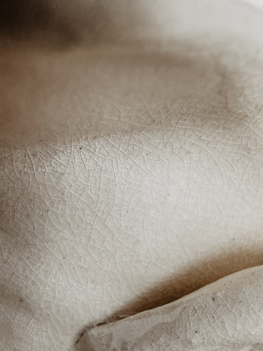 Pour cette lampe, Julie Robert s’est laissé inspirer par les champs de fleurs — surtout des pivoines — qui s’épanouissent chaque printemps sur les hauteurs dominant sa maison du sud de la France. Chaque année, elle observe patiemment la naissance des feuillages, leur croissance silencieuse jusqu’aux dernières récoltes. De cette contemplation rituelle est née l’envie de capturer la grâce éphémère de l’éclosion, de figer dans la lumière les formes mouvantes des pétales.